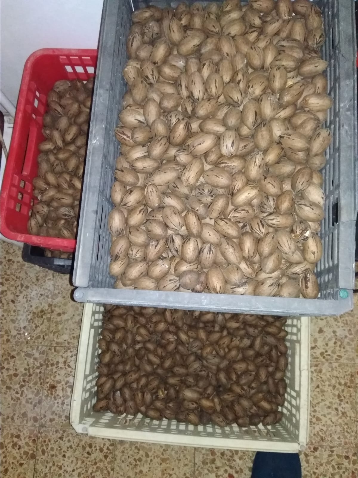 WhatsApp Image 2025-05-23 at 10.05.23
